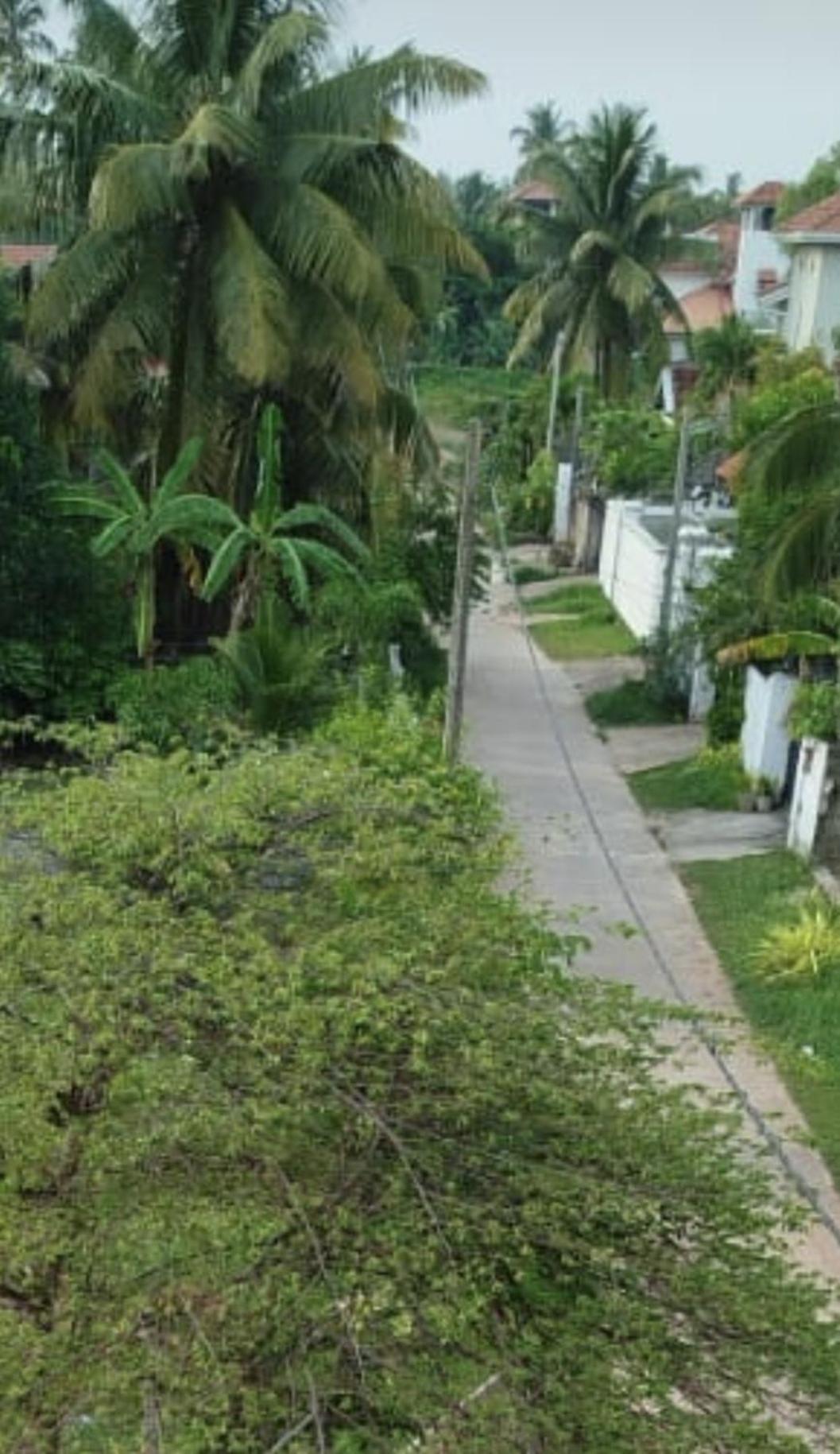 Apartment Jasmine Negombo