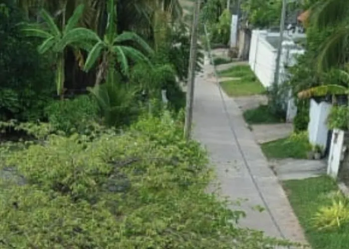 Jasmine Apartments